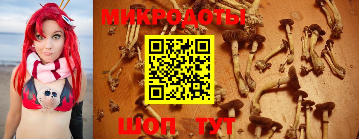 Псилоцибиновые грибы прущие грибы Карпинск