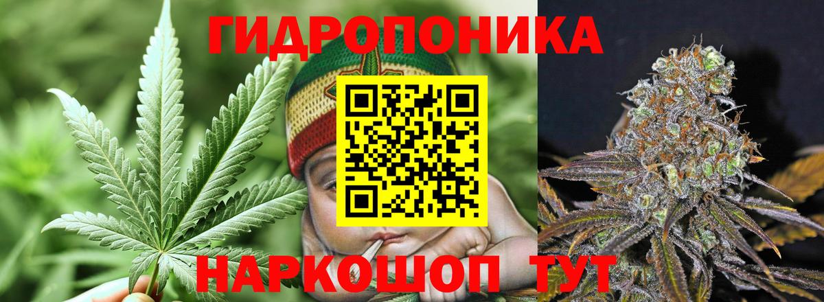 Каннабис Bruce Banner  МАРИХУАНА индика  Бошки Шишки ГИДРОПОН  Вход с VPN  Карпинск  Канабис гибрид 